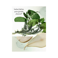 H24 Herbes Vives Eau de Parfum