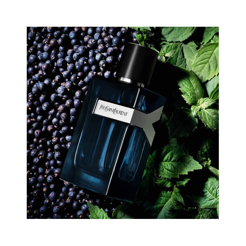 Y Men Eau de Parfum Intense