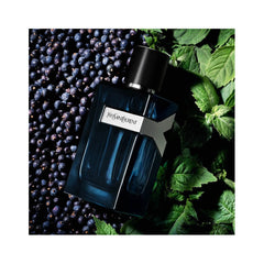 Y Men Eau de Parfum Intense