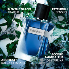 Y Iced Eau de Toilette Intense Fougère Aromatique Pour Homme