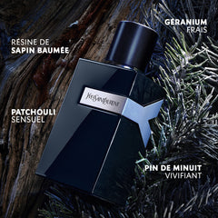 Y Men Parfum Fougère Ambré pour Homme